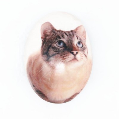 Oval cute and lovely 3D cats paperweight craft resin